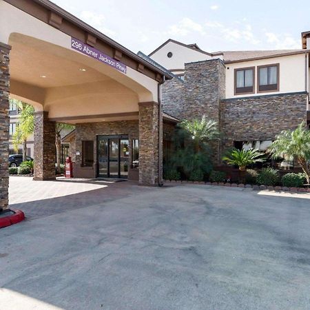 Comfort Suites Lake Jackson Clute Екстер'єр фото